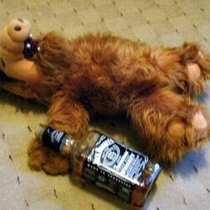 Meet your Posher, Axel